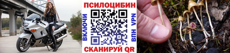 Галлюциногенные грибы Psilocybine cubensis  Иноземцево 